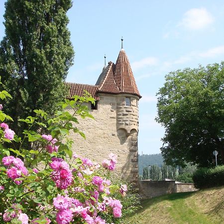 Weingut Gaestehaus Weigand Iphofen Exterior foto