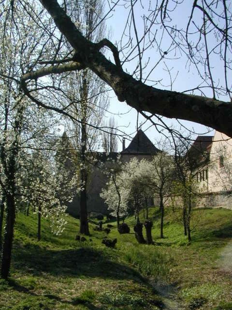 Weingut Gaestehaus Weigand Iphofen Exterior foto